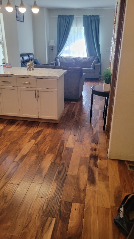 property at 20619 12th Ave S