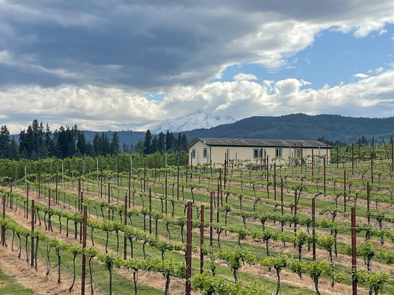 3760 Blackburn Dr in Hood River, OR - Building Photo