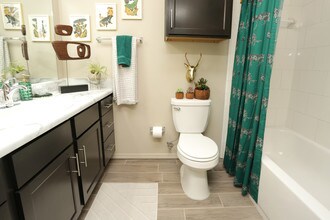 Stonehorse Crossing in Oklahoma City, OK - Building Photo - Interior Photo