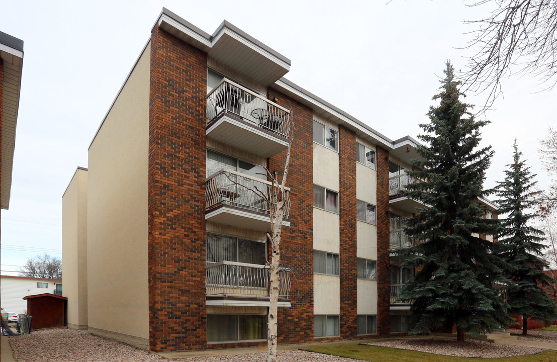 Birchdale Apartments in Edmonton, AB - Building Photo