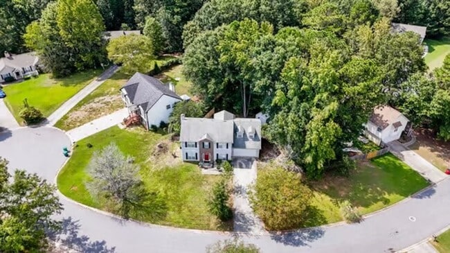 1253 Crystal Springs Trail in Hampton, GA - Building Photo - Building Photo