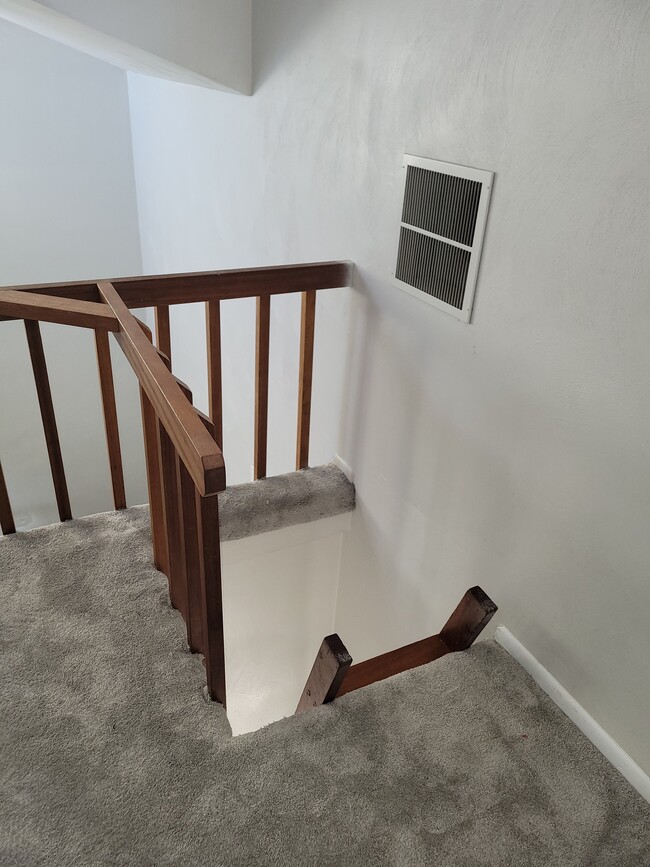 310 Sunflower Ct in Virginia Beach, VA - Building Photo - Building Photo