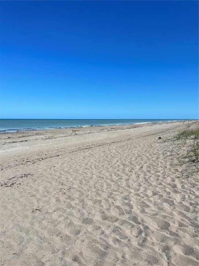 property at 1115 Hernando St