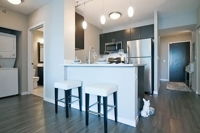 340 E Ohio St in Chicago, IL - Foto de edificio - Building Photo