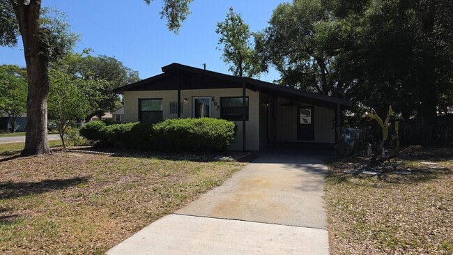 607 Patricia Ave in Fruitland Park, FL - Building Photo - Building Photo