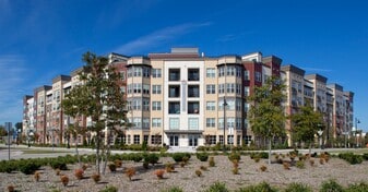 Harbor Vista at Crawford Street in Portsmouth, VA - Building Photo