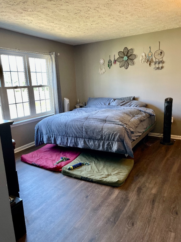 property at 6095 Tapir Pl