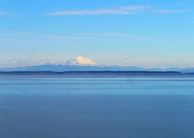 301 Spring View Pl in Sequim, WA - Building Photo - Building Photo