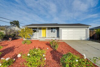4615 Armour Dr in Santa Clara, CA - Building Photo - Building Photo