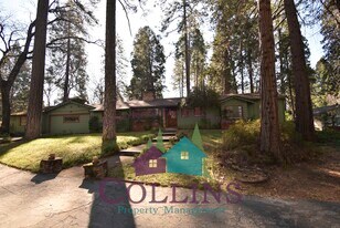 10729 Banner Lava Cap Rd in Nevada City, CA - Building Photo