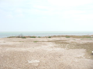 1110 Highway 100 in Laguna Heights, TX - Building Photo - Other
