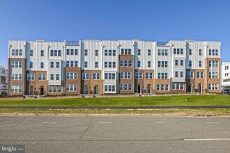 19874 Yellow Daisy Ter in Ashburn, VA - Building Photo - Building Photo