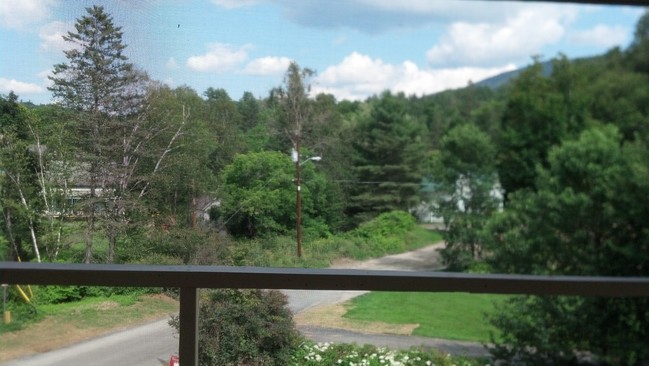 466 - 114 VT Route, Unit 1 in East Burke, VT - Foto de edificio - Building Photo