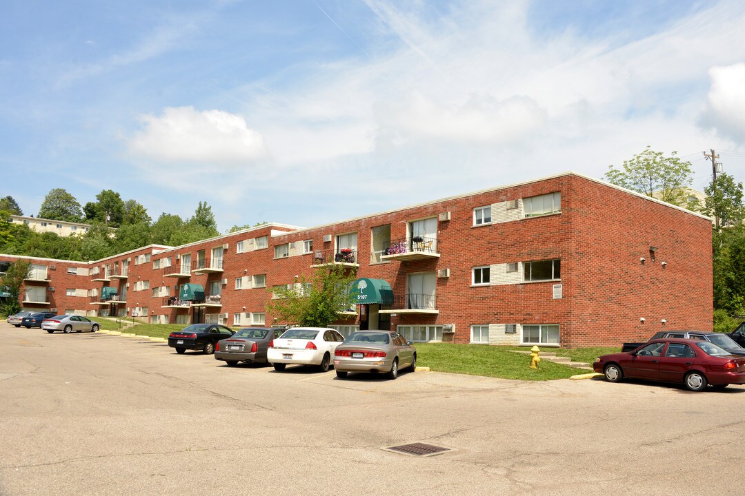 Airy Woods Apartments in Cincinnati, OH - Building Photo