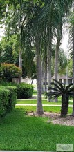 5317 Palm Valley Dr N in Harlingen, TX - Building Photo - Building Photo