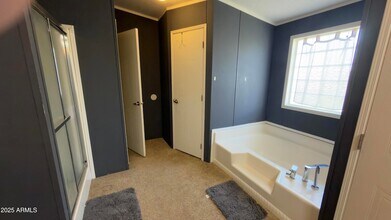 31819 N 165th Ave in Surprise, AZ - Building Photo - Building Photo