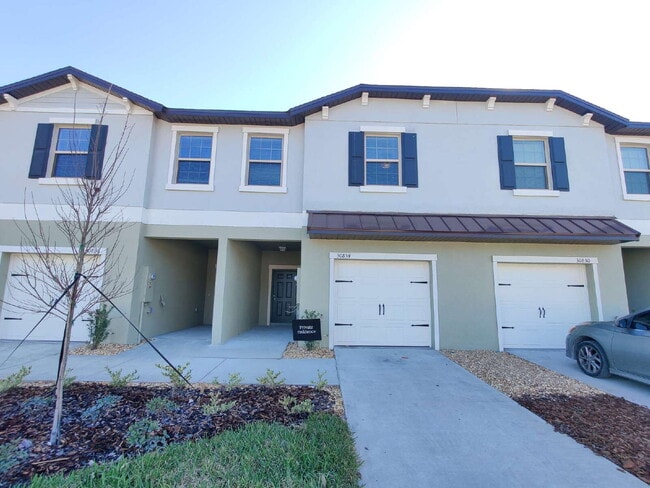 30834 Veridian Wy in Wesley Chapel, FL - Building Photo - Building Photo
