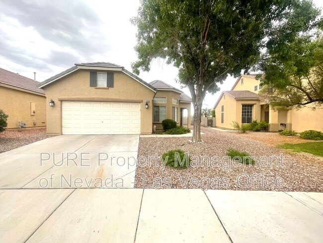 7036 Dillseed Dr in Las Vegas, NV - Building Photo - Building Photo