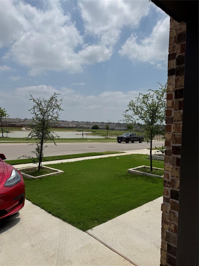 3653 Carinaro Lp in Round Rock, TX - Building Photo - Building Photo
