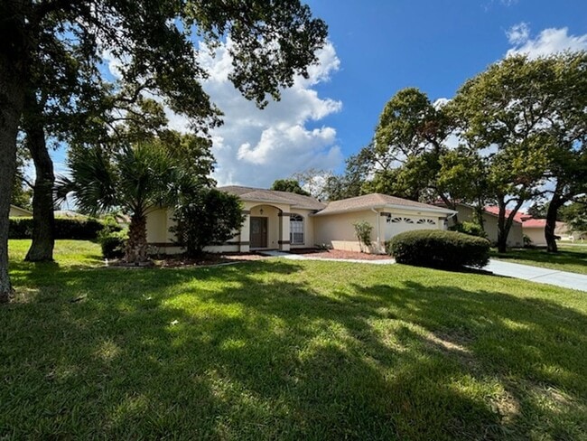 11018 Audie Brook Dr in Spring Hill, FL - Building Photo - Building Photo