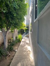 3719 Clarington Ave in Los Angeles, CA - Foto de edificio - Building Photo