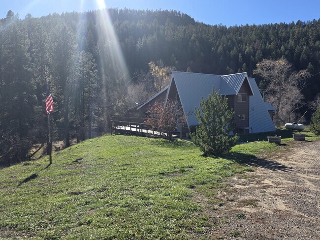 101 Co Rd 339 in Pagosa Springs, CO - Building Photo - Building Photo