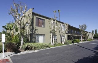 Olivewood Apartments in Anaheim, CA - Building Photo