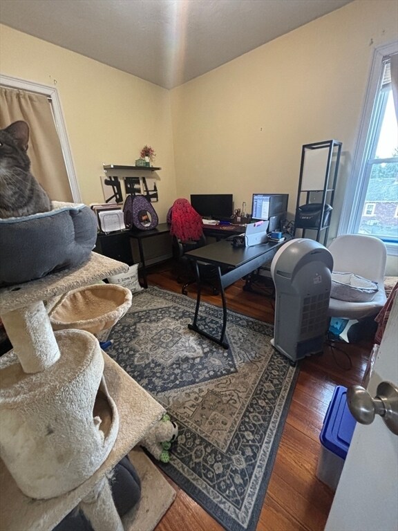 8 Sheafe St in Chestnut Hill, MA - Building Photo - Building Photo