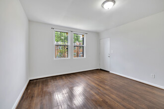 1247 Meigs Pl NE, Unit Apt 2 in Washington, DC - Building Photo - Building Photo