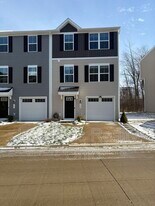 784 Pine Spring Dr in Painesville, OH - Building Photo