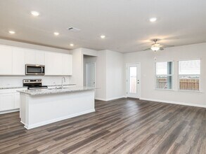 185 Texas Agate Dr in Kyle, TX - Building Photo - Building Photo
