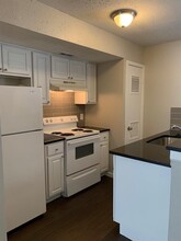 303 W 40th St in Austin, TX - Building Photo - Building Photo