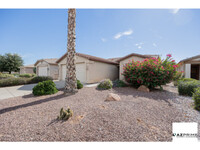 3431 E Torrey Pines Ln in Chandler, AZ - Building Photo - Building Photo