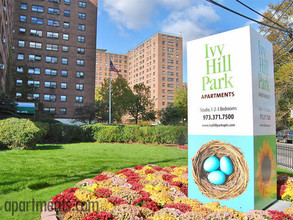 Ivy Hill Park Apartments in Newark, NJ - Building Photo - Building Photo