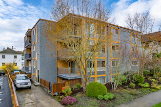 7925 Densmore Ave N in Seattle, WA - Building Photo - Building Photo