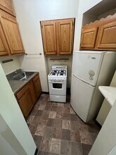 219 E Mifflin St in Madison, WI - Building Photo - Building Photo