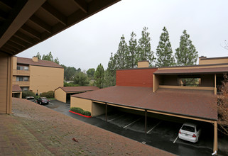 Vista Oaks in Martinez, CA - Foto de edificio - Building Photo