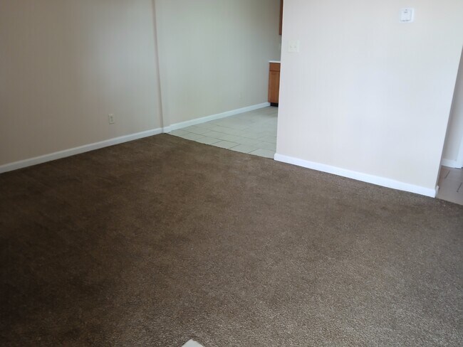 321 E Mill St in Carbondale, IL - Foto de edificio - Building Photo