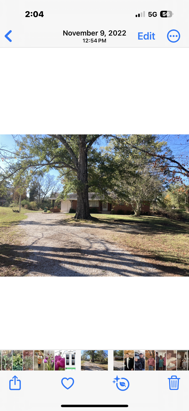 4447 N Gloster St in Tupelo, MS - Foto de edificio - Building Photo