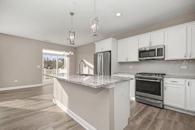 253 Masters Dr in Addison, IL - Building Photo - Building Photo