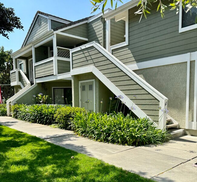 77 Cambria Ln Rentals in Aliso Viejo, CA