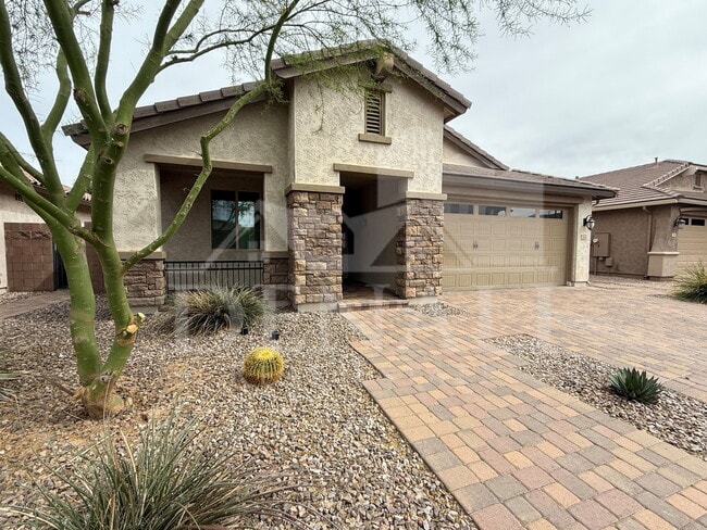 244 E Prescott Dr in Chandler, AZ - Building Photo - Building Photo