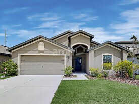 816 Chatham Walk Dr in Ruskin, FL - Building Photo