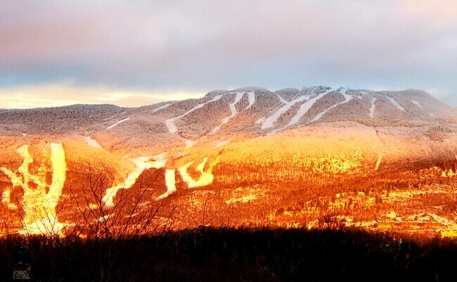 170 Du Tour-Du-Lac Ch in Lac-Supérieur, QC - Building Photo - Building Photo