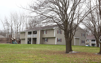 Mercer Mills Apartments in Baldwinsville, NY - Building Photo - Building Photo