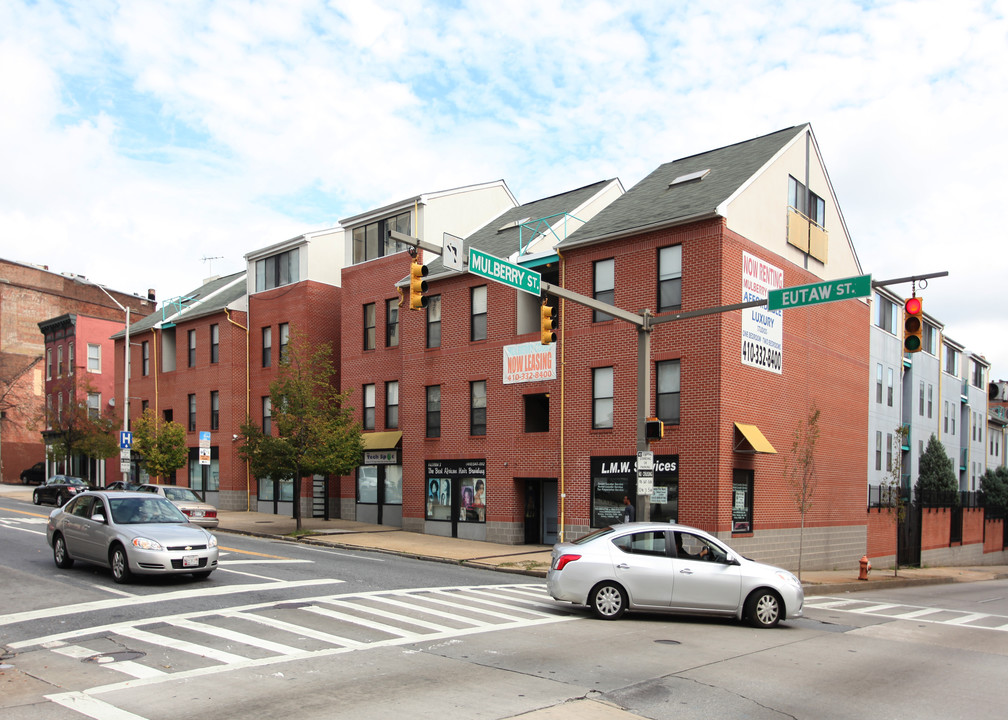 Mulberry Court in Baltimore, MD - Building Photo