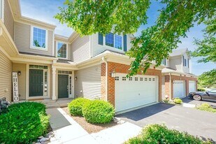 9911 Williams Dr in Huntley, IL - Building Photo