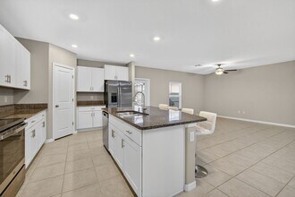 17893 Cloudless Bliss Dr in Lutz, FL - Building Photo - Building Photo