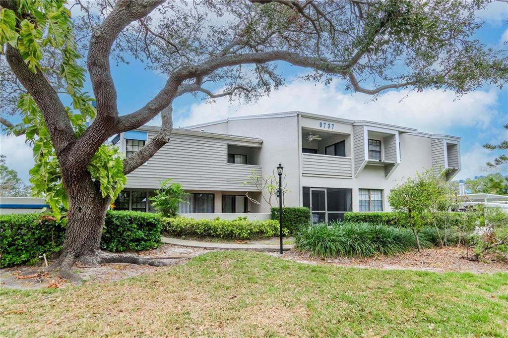 8737 Bardmoor Pl in Seminole, FL - Building Photo