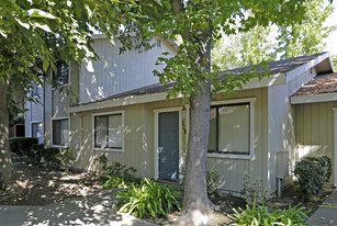 Courtyard Cottages[OLD] Apartments